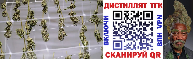 Дистиллят ТГК Wax  Хасавюрт 